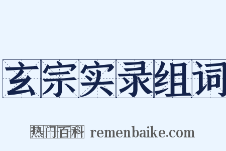 玄宗实录组词是什么意思的图片